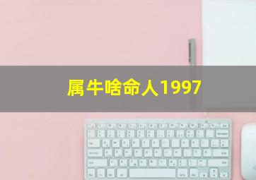 属牛啥命人1997