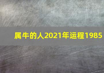 属牛的人2021年运程1985