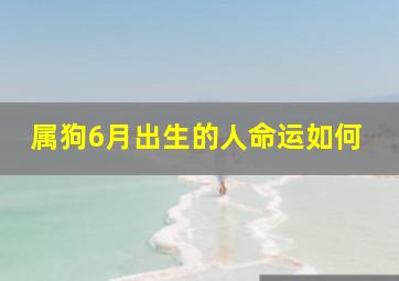 属狗6月出生的人命运如何