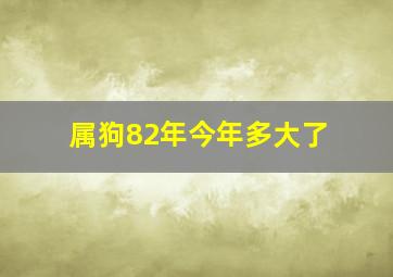 属狗82年今年多大了