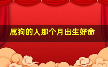 属狗的人那个月出生好命