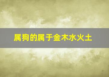 属狗的属于金木水火土