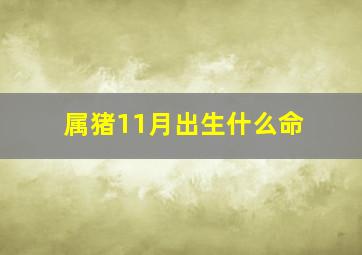 属猪11月出生什么命