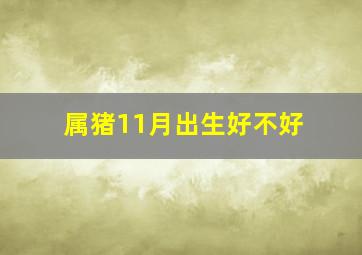 属猪11月出生好不好