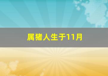 属猪人生于11月