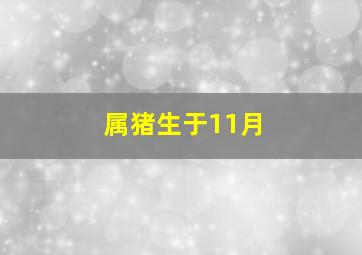 属猪生于11月