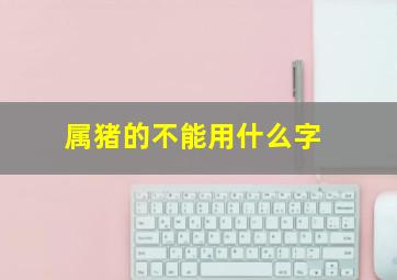 属猪的不能用什么字