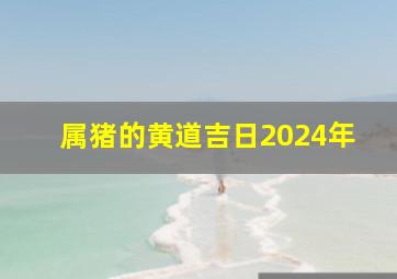 属猪的黄道吉日2024年