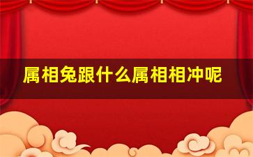 属相兔跟什么属相相冲呢