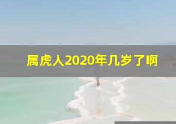 属虎人2020年几岁了啊