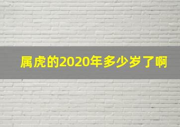 属虎的2020年多少岁了啊