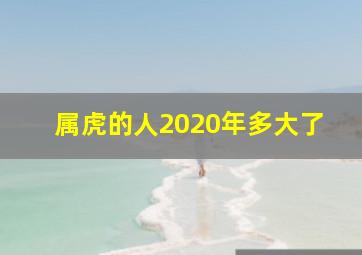 属虎的人2020年多大了