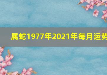 属蛇1977年2021年每月运势