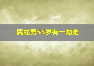 属蛇男55岁有一劫难