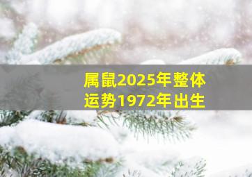 属鼠2025年整体运势1972年出生