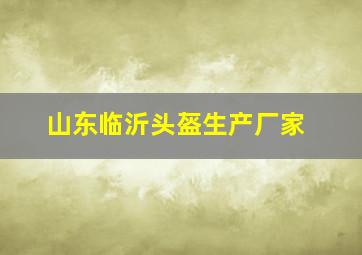 山东临沂头盔生产厂家