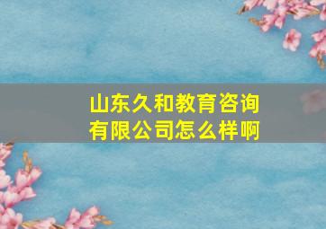 山东久和教育咨询有限公司怎么样啊