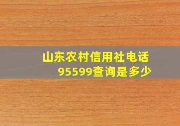 山东农村信用社电话95599查询是多少