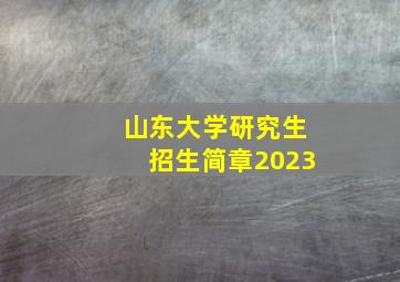 山东大学研究生招生简章2023