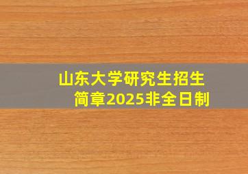 山东大学研究生招生简章2025非全日制