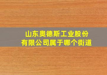 山东奥德斯工业股份有限公司属于哪个街道