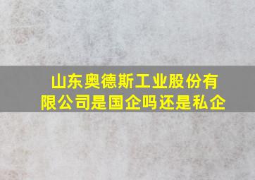 山东奥德斯工业股份有限公司是国企吗还是私企