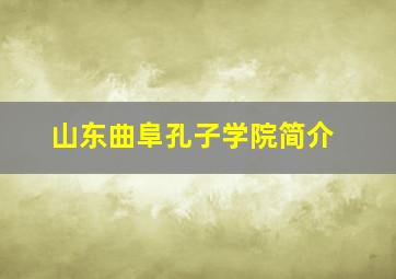 山东曲阜孔子学院简介