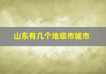 山东有几个地级市城市