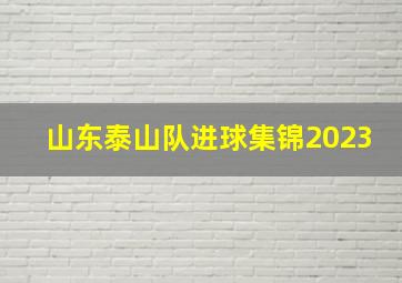 山东泰山队进球集锦2023