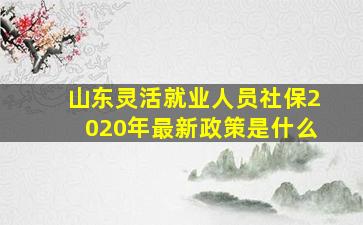 山东灵活就业人员社保2020年最新政策是什么