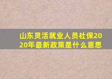 山东灵活就业人员社保2020年最新政策是什么意思