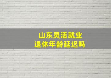 山东灵活就业退休年龄延迟吗