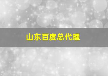 山东百度总代理