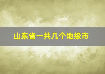 山东省一共几个地级市