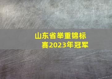 山东省举重锦标赛2023年冠军