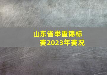 山东省举重锦标赛2023年赛况