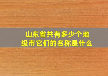 山东省共有多少个地级市它们的名称是什么