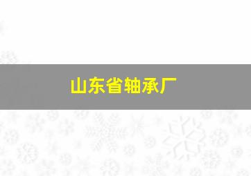 山东省轴承厂