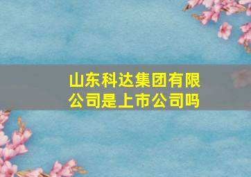 山东科达集团有限公司是上市公司吗