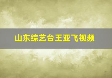 山东综艺台王亚飞视频