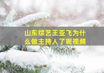 山东综艺王亚飞为什么做主持人了呢视频