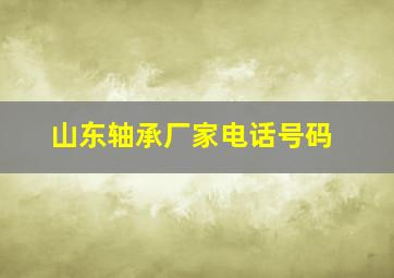 山东轴承厂家电话号码