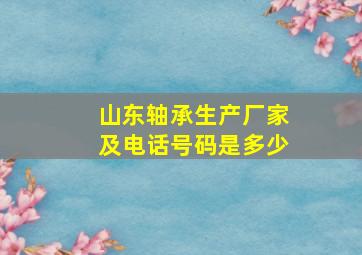 山东轴承生产厂家及电话号码是多少