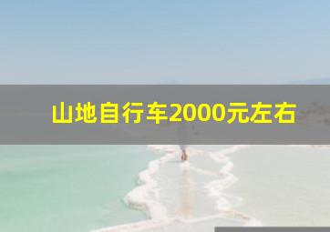 山地自行车2000元左右