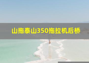 山拖泰山350拖拉机后桥