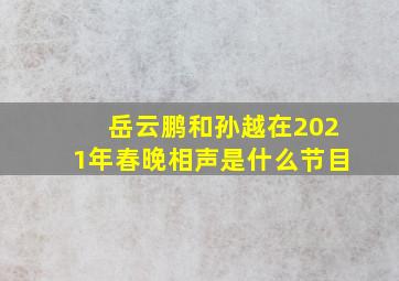 岳云鹏和孙越在2021年春晚相声是什么节目