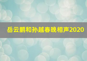 岳云鹏和孙越春晚相声2020