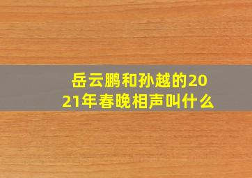 岳云鹏和孙越的2021年春晚相声叫什么