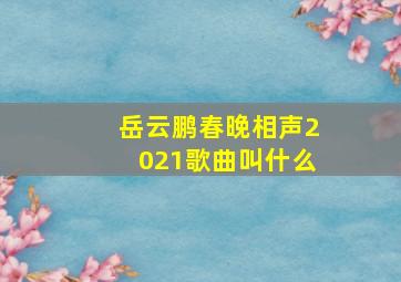 岳云鹏春晚相声2021歌曲叫什么