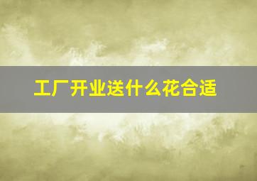 工厂开业送什么花合适